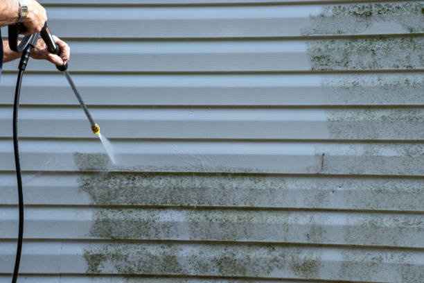 Best Yard Waste Removal  in North Seekonk, MA